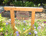 菜園看板