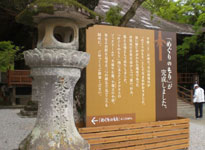 めぐりの森